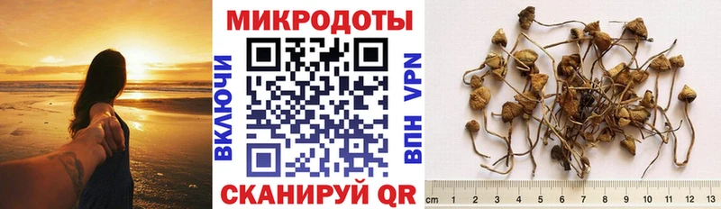 цена   Киржач  Галлюциногенные грибы Cubensis 