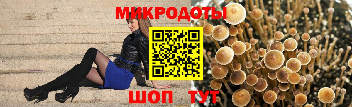 Галлюциногенные грибы Cubensis  цена наркотик  Киржач  Вход с VPN 