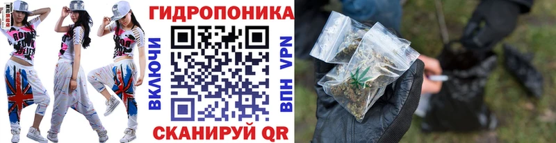 купить наркотик  ОМГ ОМГ ТОР  Каннабис планчик  Киржач 